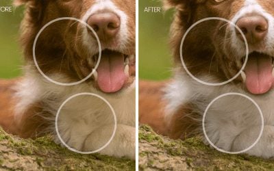 3 Ways to Remove Colour Casts in Photoshop