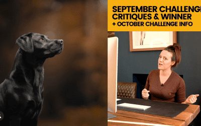 September Challenge: The Edit