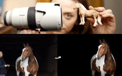 Black Background Horse Photography (No Lights Required!)