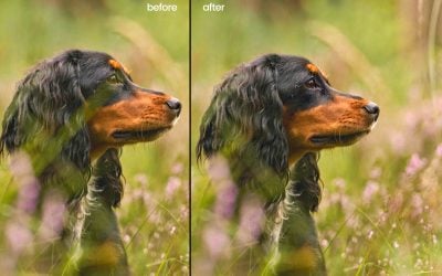 How to remove blurry stuff from in front of subjects in Photoshop