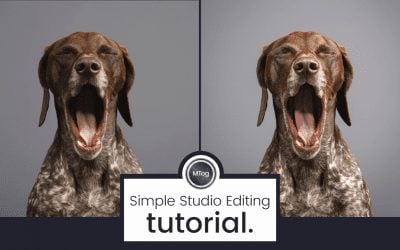 Simple Studio Full Edit