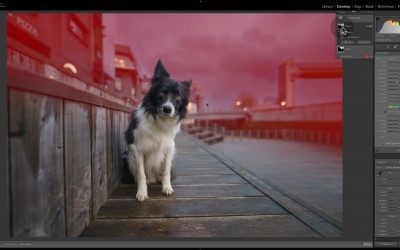 How to use Lightrooms Masking features