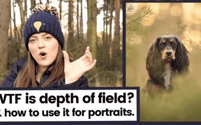 What is Depth of Field & how to alter it