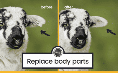 MTog Bonus: How to switch body parts in Photoshop