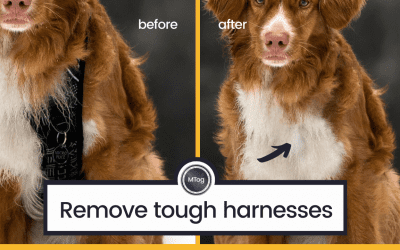 MTog Bonus: How to remove tricky harnesses