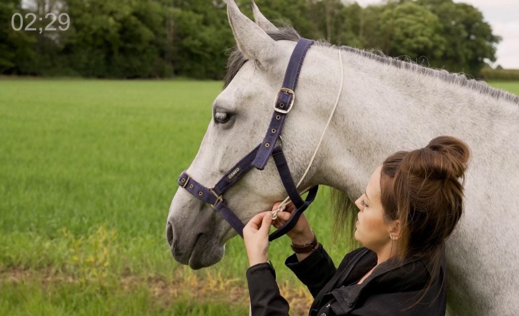 How to make an Equine Photo Halter