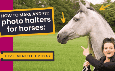 How to make & fit an Equine Photo Halter