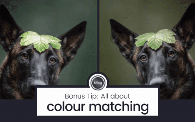 MTog Bonus: Colour matching