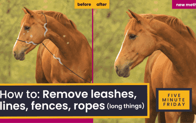How to remove ropes and lines quickly in Photoshop