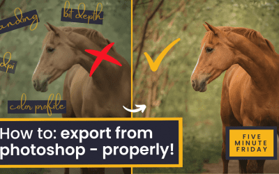 How to export photos from Photoshop