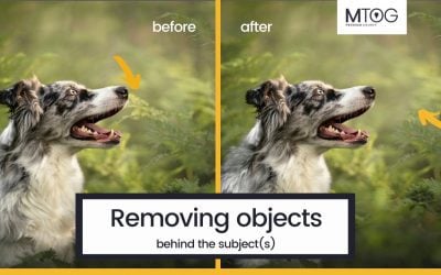 MTog Bonus: How to remove objects from behind subject(s)